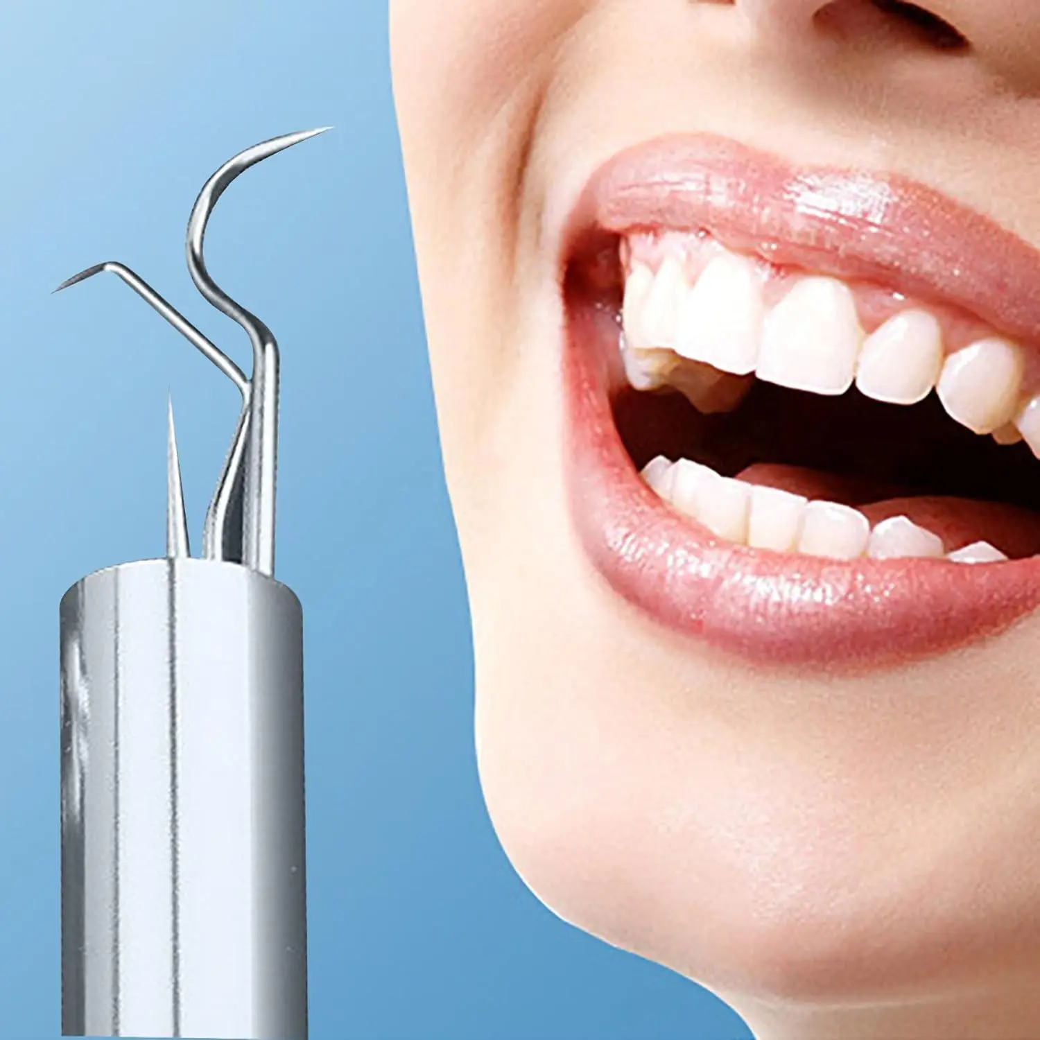 Reusable Metal Toothpick Holder Kit, Portable Stainless Steel Keychain Dental Cleaning Tool Set for Outdoor Travel Camping [silver Color]