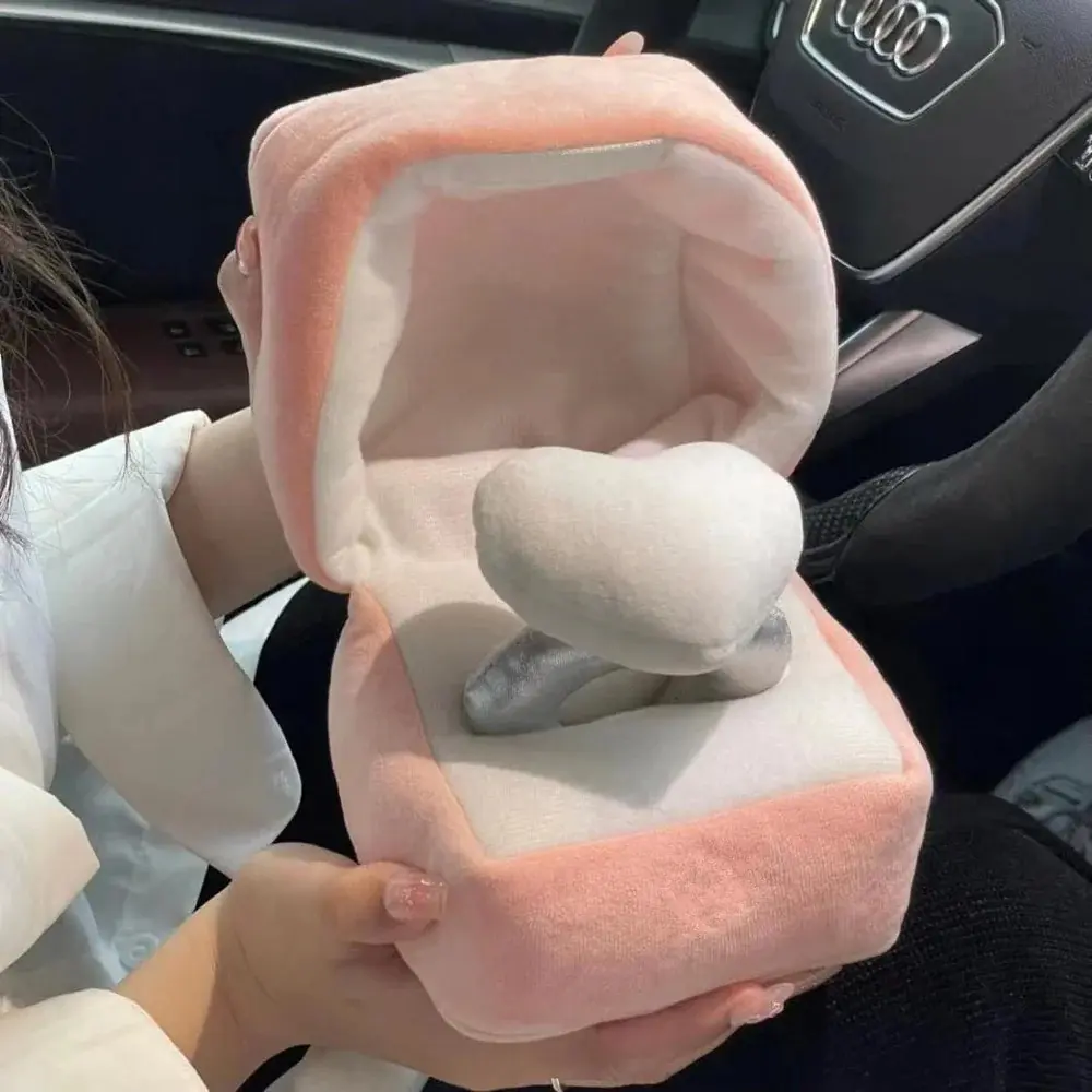 Cute Plush Ring Box, Surprise Gift For Couple