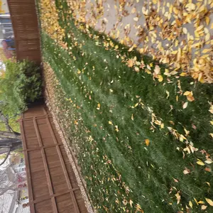 VEVOR Push Lawn Sweeper, 21-inch Leaf & Grass Collector, Strong Rubber Wheels & Heavy Duty Thickened Steel Durable to Use with Large Capacity 3.5 cu. ft. Mesh Collection Hopper Bag, 2 Spinning Brushes