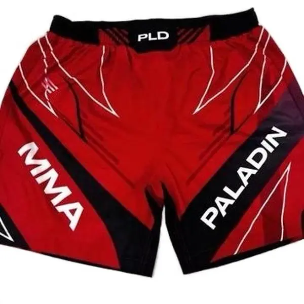 Men's Paladin MMA Athletic Performance Sports Shorts