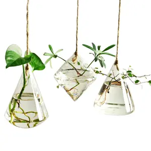 Glass Vase Hanging Planter, Plant Terrarium, Propagation Station, Hydroponic Plants Container, Home Garden Decor, 3 Types Available