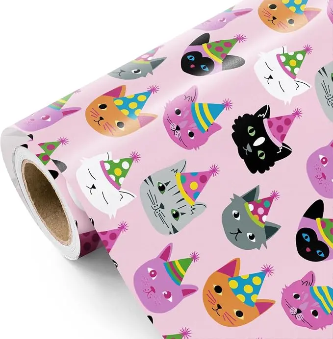 WRAPAHOLIC Cute Sushi Wrapping Paper Roll - 17 Inch x 33 Feet - Trendy Food Theme Gift Wrap Paper with Adorable Sushi Design for Birthday, Baby Shower, Wedding, Holiday Gifts