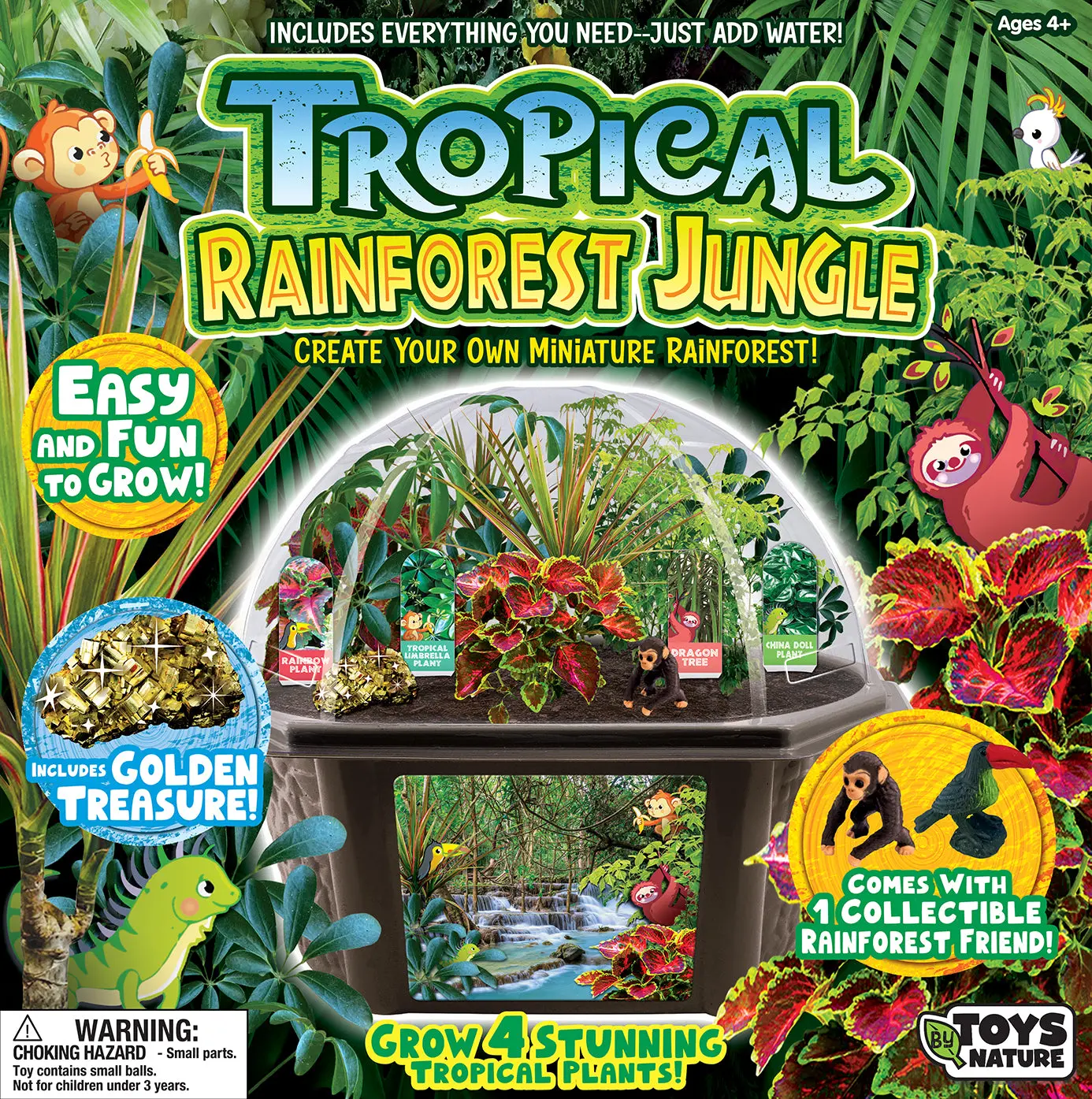 Tropical Rainforest Jungle Biosphere Terrarium Tropical Rainforest Jungle Biosphere Terrarium