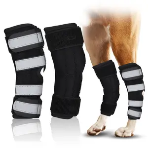 NUTUCH Dog Leg Brace with Dual Metal Strips and Safety Reflective Straps for Back Legs