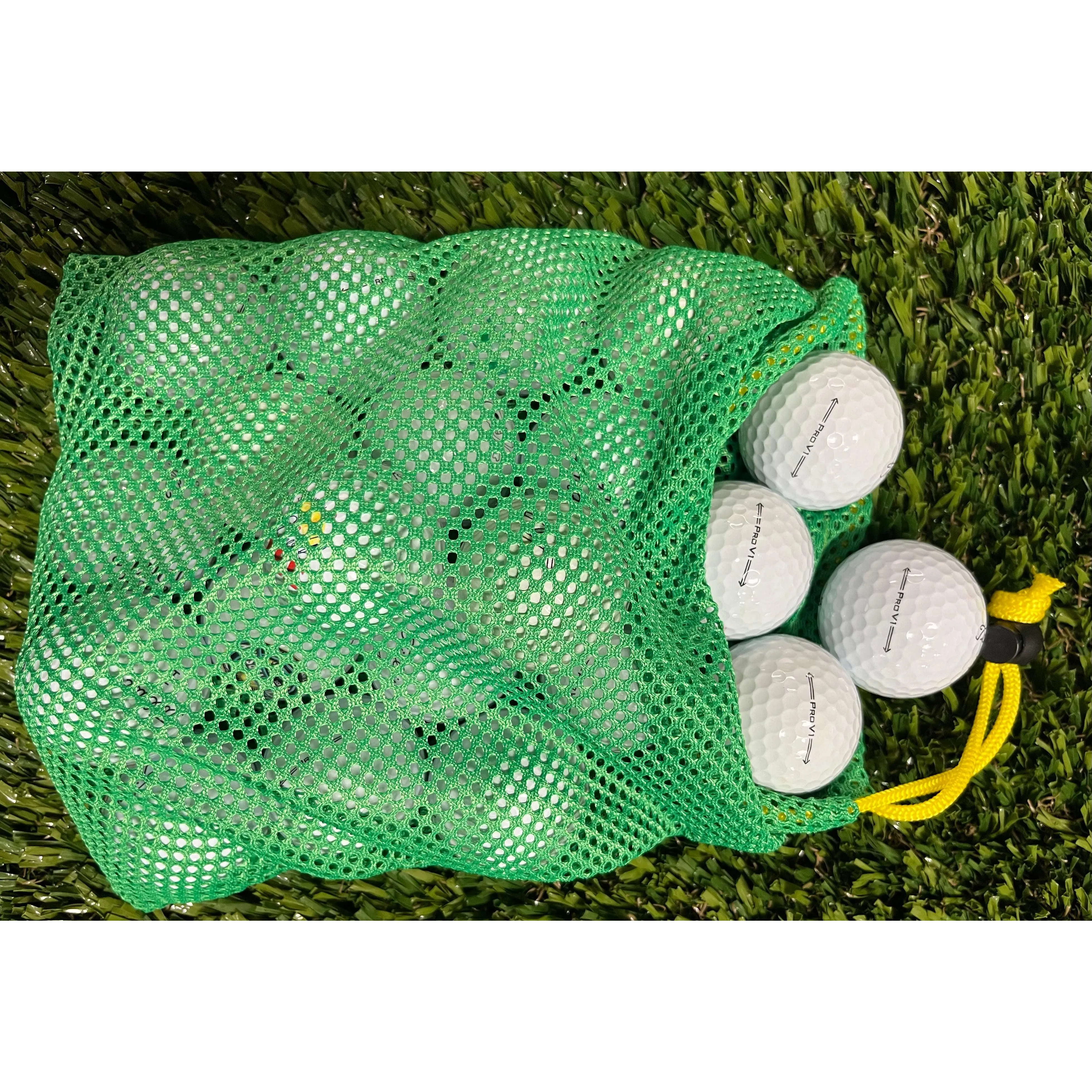 Titleist Pro V1 2025 - Dozen in Mesh Bag