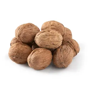 Organic California Walnuts with Shell 1 lb – Premium Raw Whole Walnuts in Shell | Fresh Crunchy Natural Nuts Snack, High Protein, Omega-3 Rich Superfood, Healthy Vegan Snack, No Additives, Perfect for Snacking, Baking & Daily Nutrition