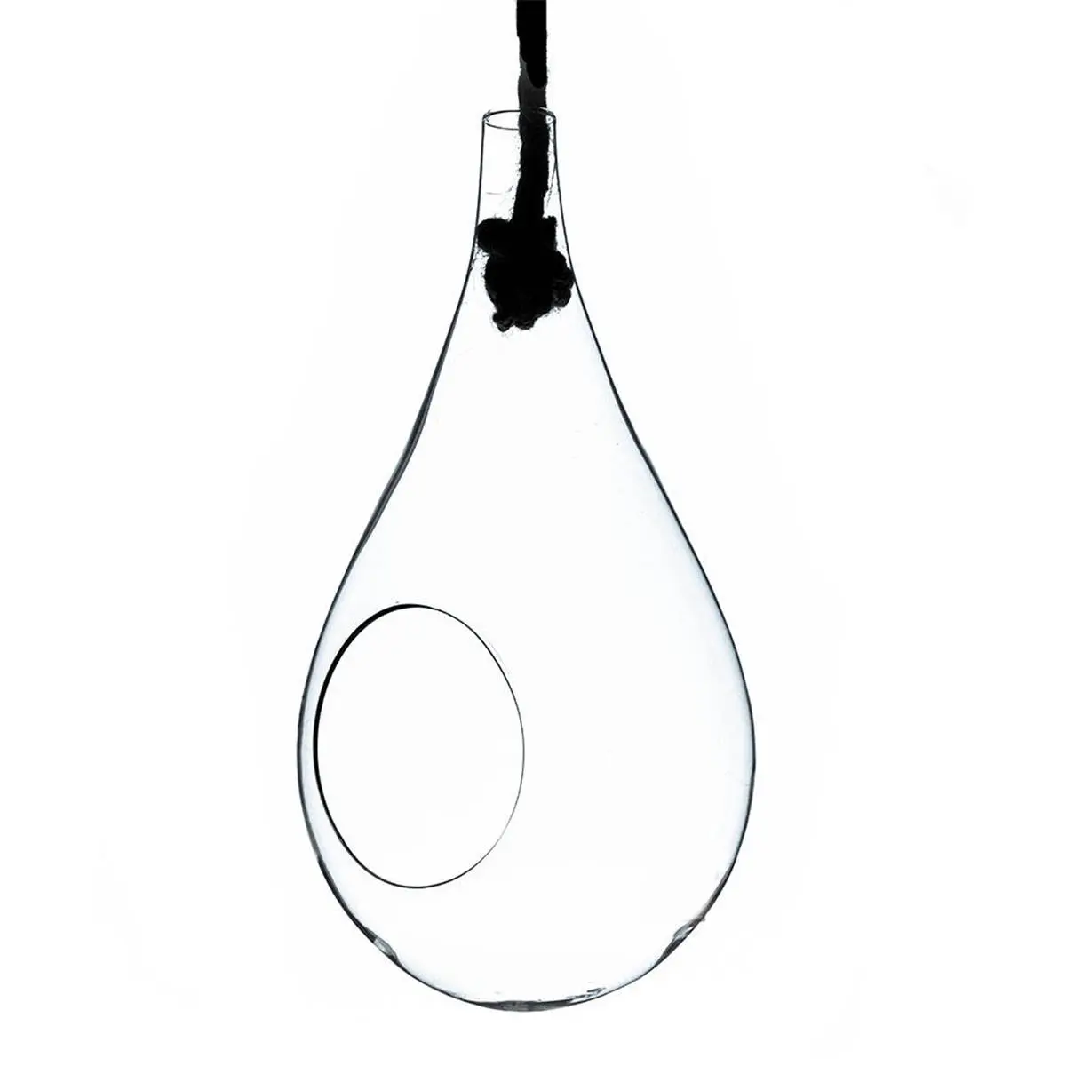 Athenas Garden HCH0910 5 in. Small Clear Rope Hanging Terrarium & Vase