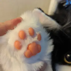 Product Review of 【TikTokShopBacktoSchool】Chongker Stylish Daypack Plush Cat Backpack - Realistic Stuffed Animal Fashion Accessory & Unique Gift for Cat Lovers - 1 Set Gift Wrap from S**t