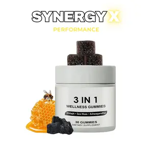 3-IN-1 WELLNESS GUMMIES