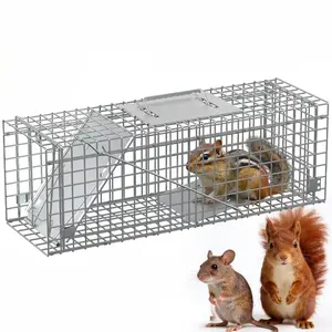 24" Live Animal Squirrel Trap, Collapsible Steel Cage with Sensitive Trigger & Carrying Handle for Raccoons, Cats, Rabbits, Skunks, Foxes, Groundhogs & Armadillos