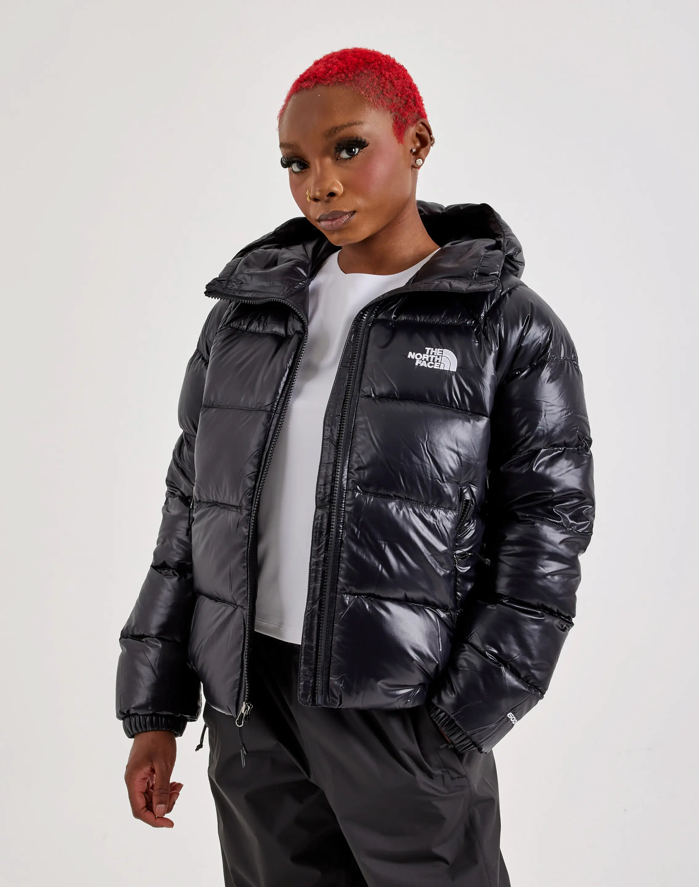 Womens The North Face Hydrenalite Down Hooded Jacket