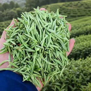First pick Organic High Mountain green tea 'HuangShanMaoFeng', China Top 3