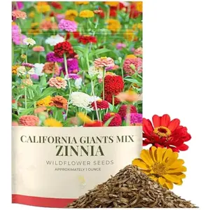 Giants Zinnia Mix – 4,000+ Seeds – 1 oz Bulk Extra Large Resealable Packet – Premium Heirloom Zinnia elegans Seeds with Giant Blooms in Vibrant Colors