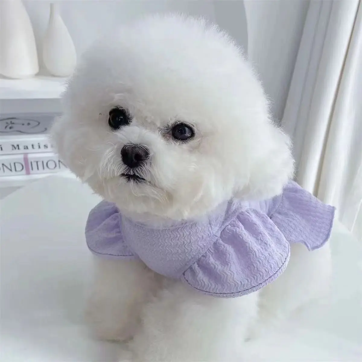 Sweet Princess Dress Costume for Pets, Cute, Spring Summer Fall Clothes, Puppy Clothes, Suitable for Small Dogs Cats Like Teddy Bichon Pomeranian Poodle, Casual Formal
