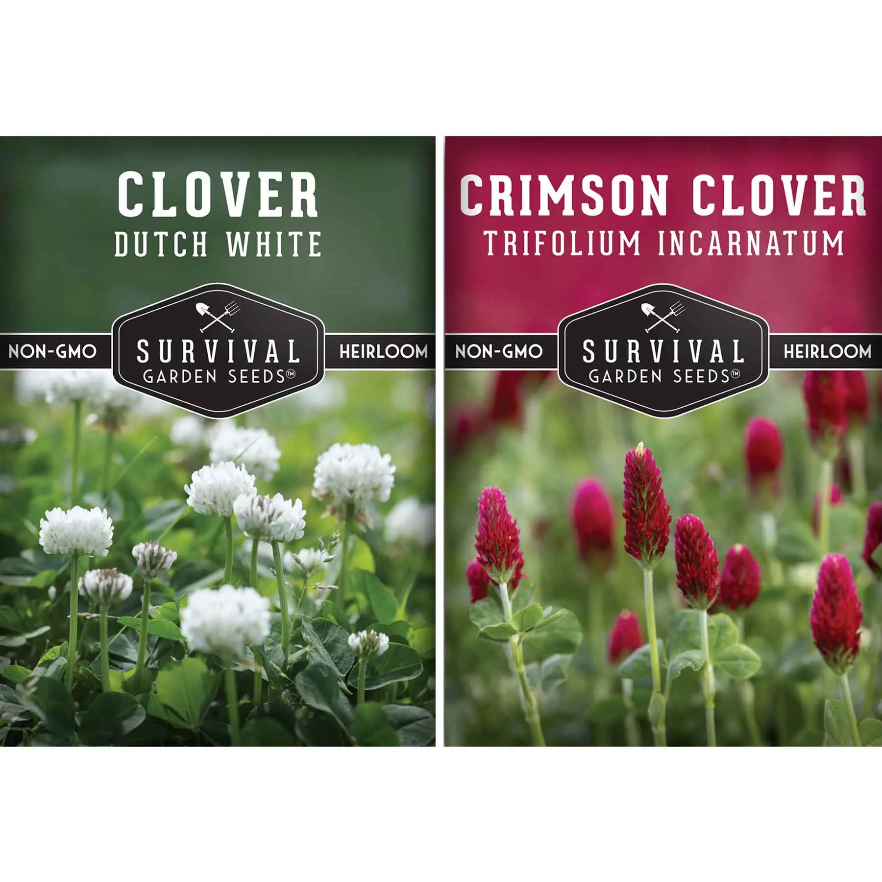 Clover Seed Collection - Crimson & Dutch Clover - Non-GMO - Survival Garden Seeds