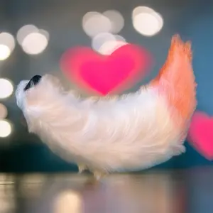 Wearable Pink and white tail for humans