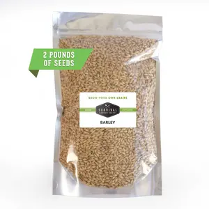 Barley Seed - Bulk Pack for Food and Cover Crops