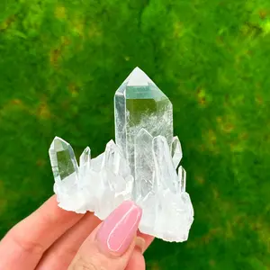 LEMURIAN CRYSTAL CLUSTER | Clear Quartz Crystals | Raw Crystal Specimen | Crystals of Arkansas | Home Decor