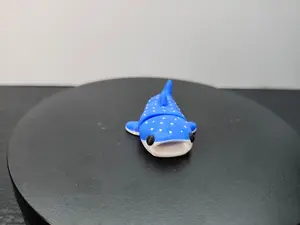 Whale Shark
