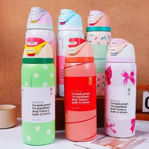 Dear Diary Strawberry Theme Insulated Stainless Steel Straw Water Bottle BPA-Free Sports Water Bottle Travel Companion 32 oz Capacity Valentine's Day Gift