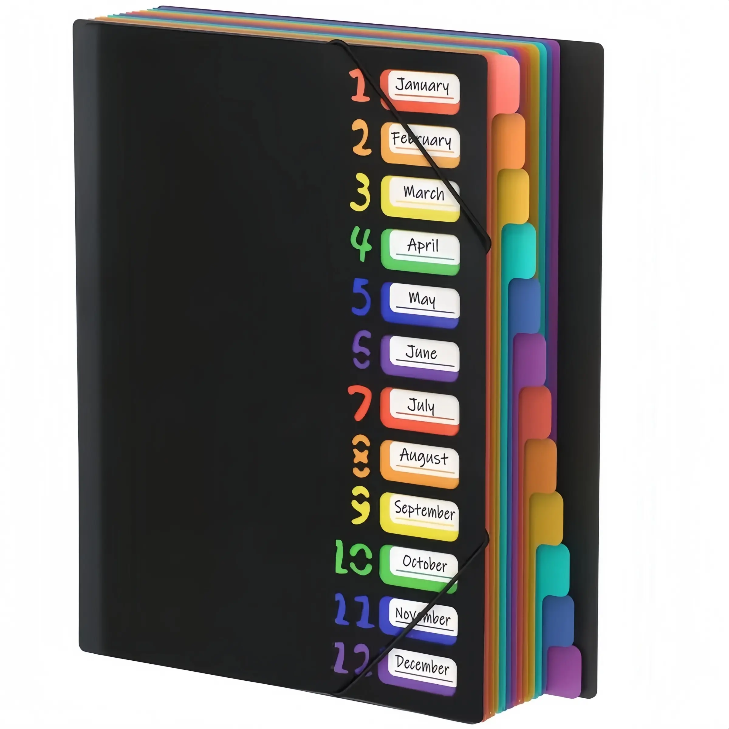 Colorful Label A4 File Folder with Month Dividers, Durable Plastic Document Organizer for School Office Home, Sturdy Cover with Calendar System, Office Supplies, Office Accessories
