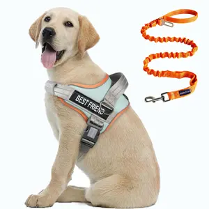 AUROTH No Pull Dog Harness and Leash Combo, Reflective Adjustable Safety Harness – Soft Padded, Easy On & Off – Dog Walking & Training, Small Medium Large Dogs