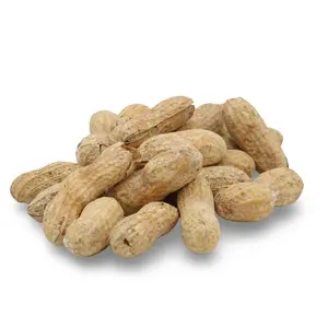 Salted Roasted Peanuts In Shells, Freshly Harvested, 100% US Grown, 1 Lb Tub