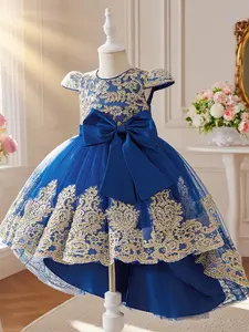 Champagne color dress with floral embroidery train design elegant and beautiful dress suitable for girls birthday party anniversary and prom