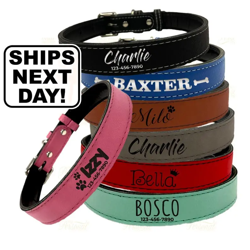 Dog Collar Personalized Boy, Custom Dog Collar Girl, Customized Dog Collar Large, Personalized Dog Collar Buckle, Engraved Dog Collar Girl