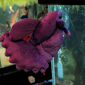 Purple Betta Plush