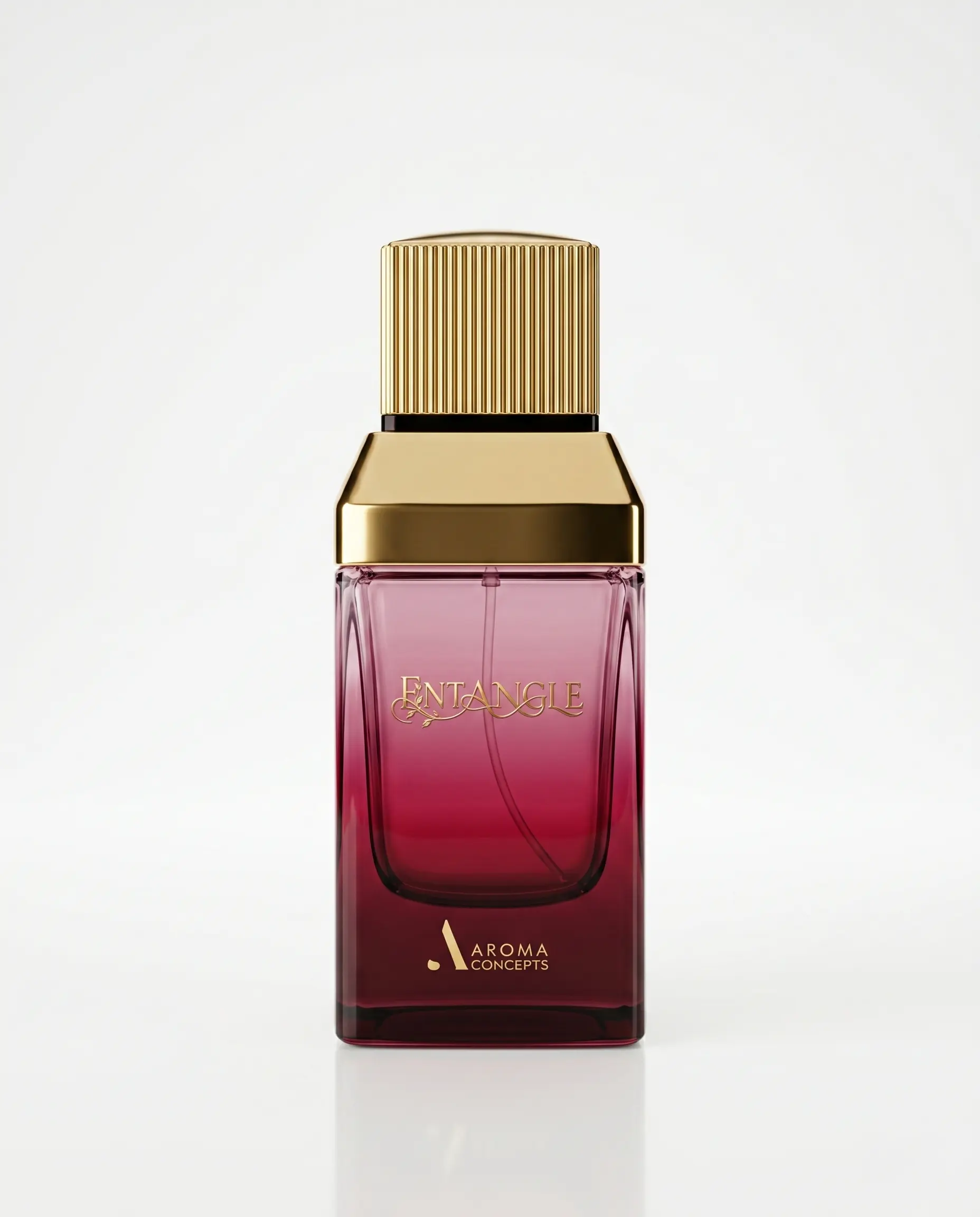 Entangle by Aroma Concepts EDP Perfume 100ml Women Fragrance