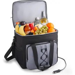 Ivation Portable Electric Cooler Bag |   18L Soft Sided Thermoelectric Travel Cooler with Shoulder Strap, Storage Pocket & DC 12V Plug in for Car, Truck & RV Camping