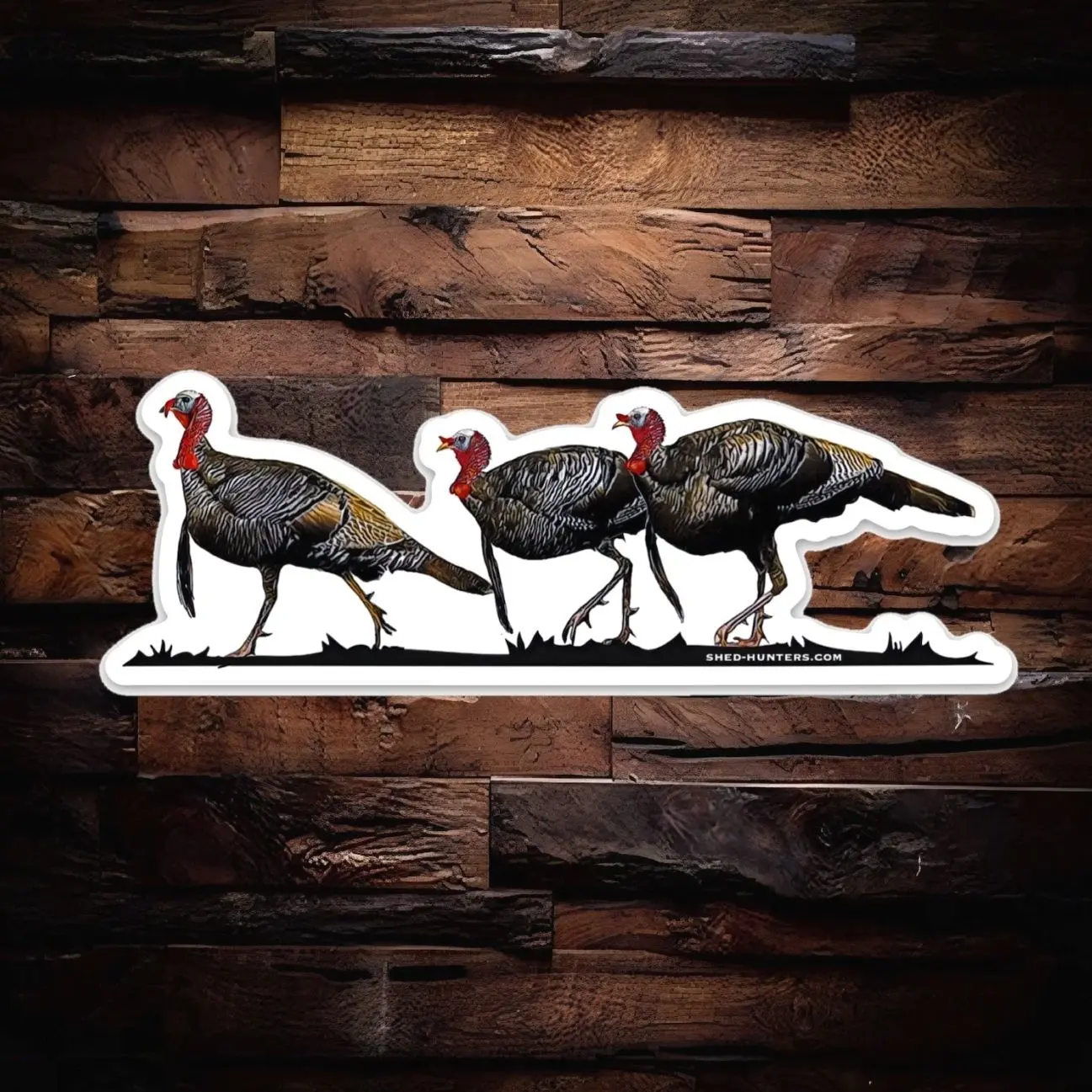 Three Birds Wild Turkey  Hunting Sticker, Laptop Water Bottle Decal Sticker