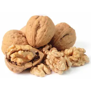 Walnuts In Shell Walnuts In Shell