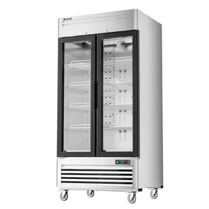 Coolski 40 in. 33.5 cu. ft. Auto / Cycle Defrost 2-Glass Door Commercial Reach In Display Upright Freezer in Stainless Steel