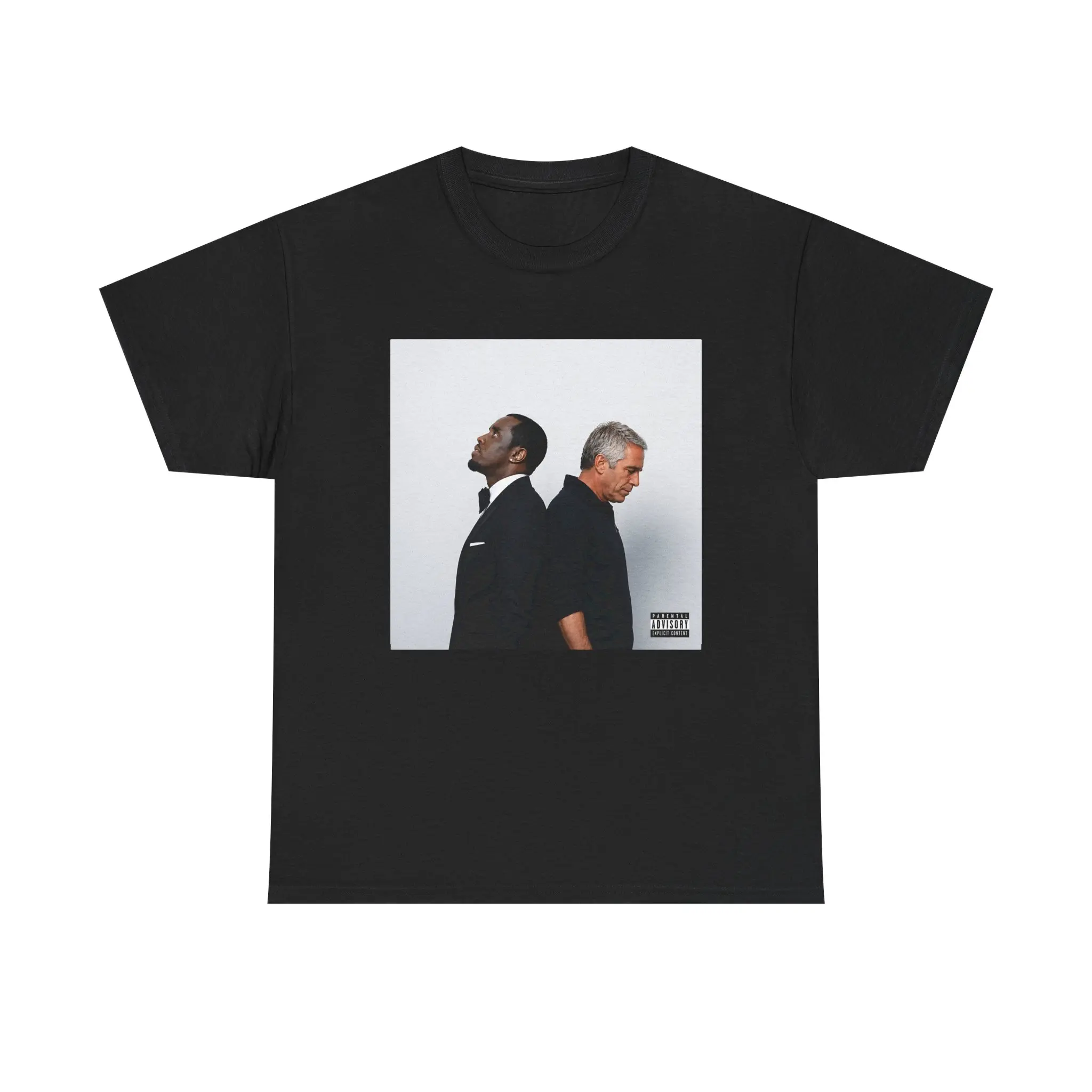DiddyStein Shirt, Album Cover Parody Hoodie, Meme Unisex Tee