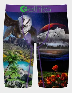 ETHIKA The Flight Mens Boxer Briefs