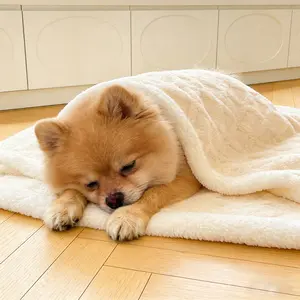 Double-Layer Dog Blanket, Soft Fluffy Pet Throw, Washable Warm Blanket for Dogs, Suitable for Dog Beds and Cages, Multiple Colors