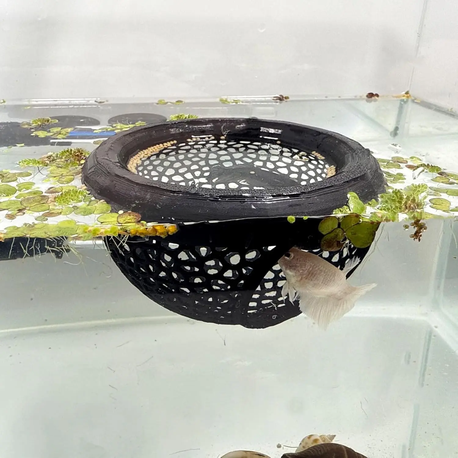 Aquarium Fish Tank Floating Betta Fish Skin Feeder, Cave and Hammock, Small Fish Food Ring, Aquarium Hiding Feed Decoration Accessory