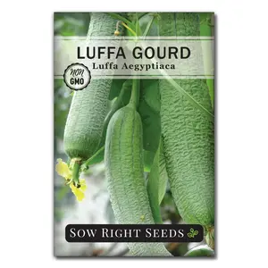 Luffa Gourd Seeds