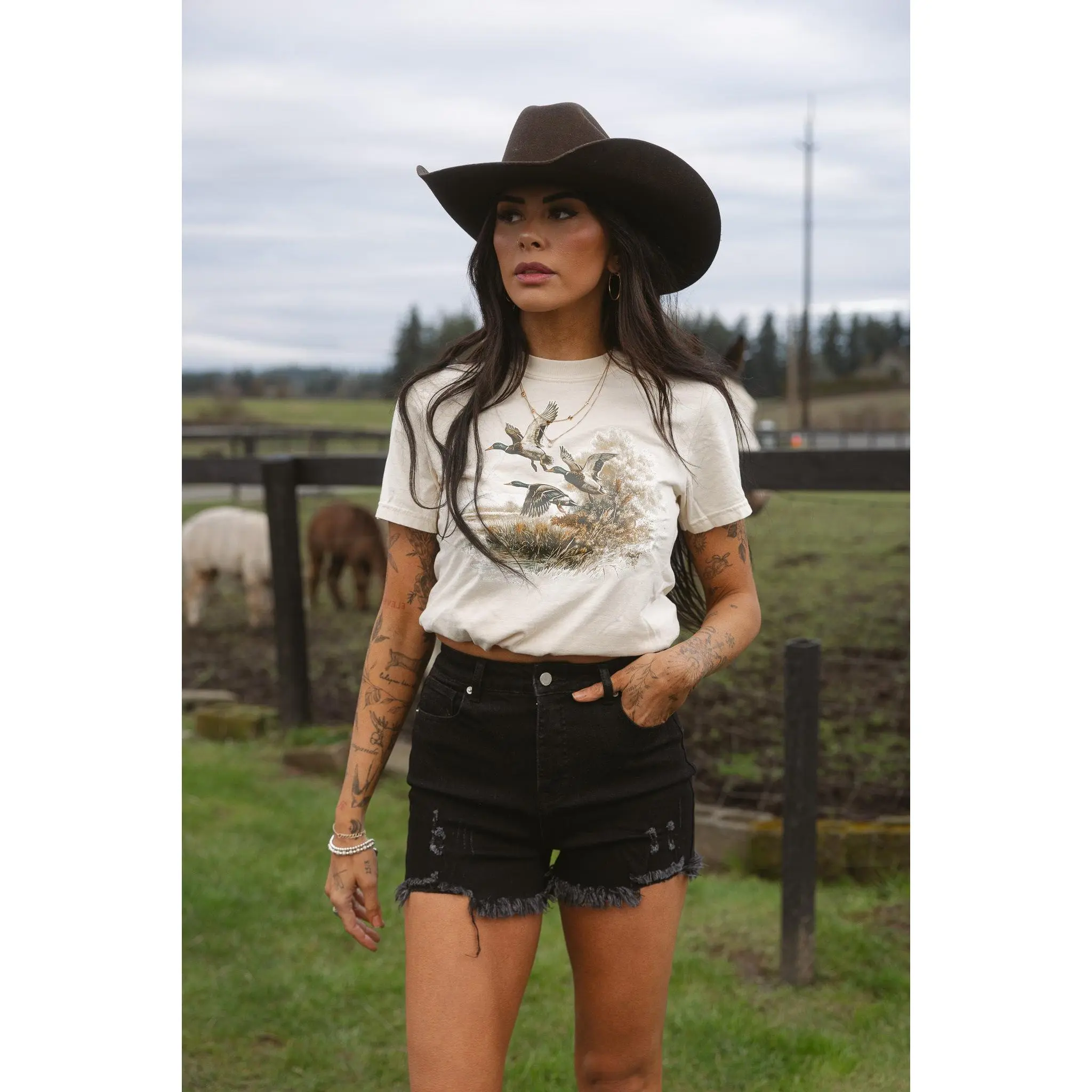 Women's Cotton Stretchy Risen Distressed Shorts - Black, Button-Accented Bottom for Day Wear, Black Shorts