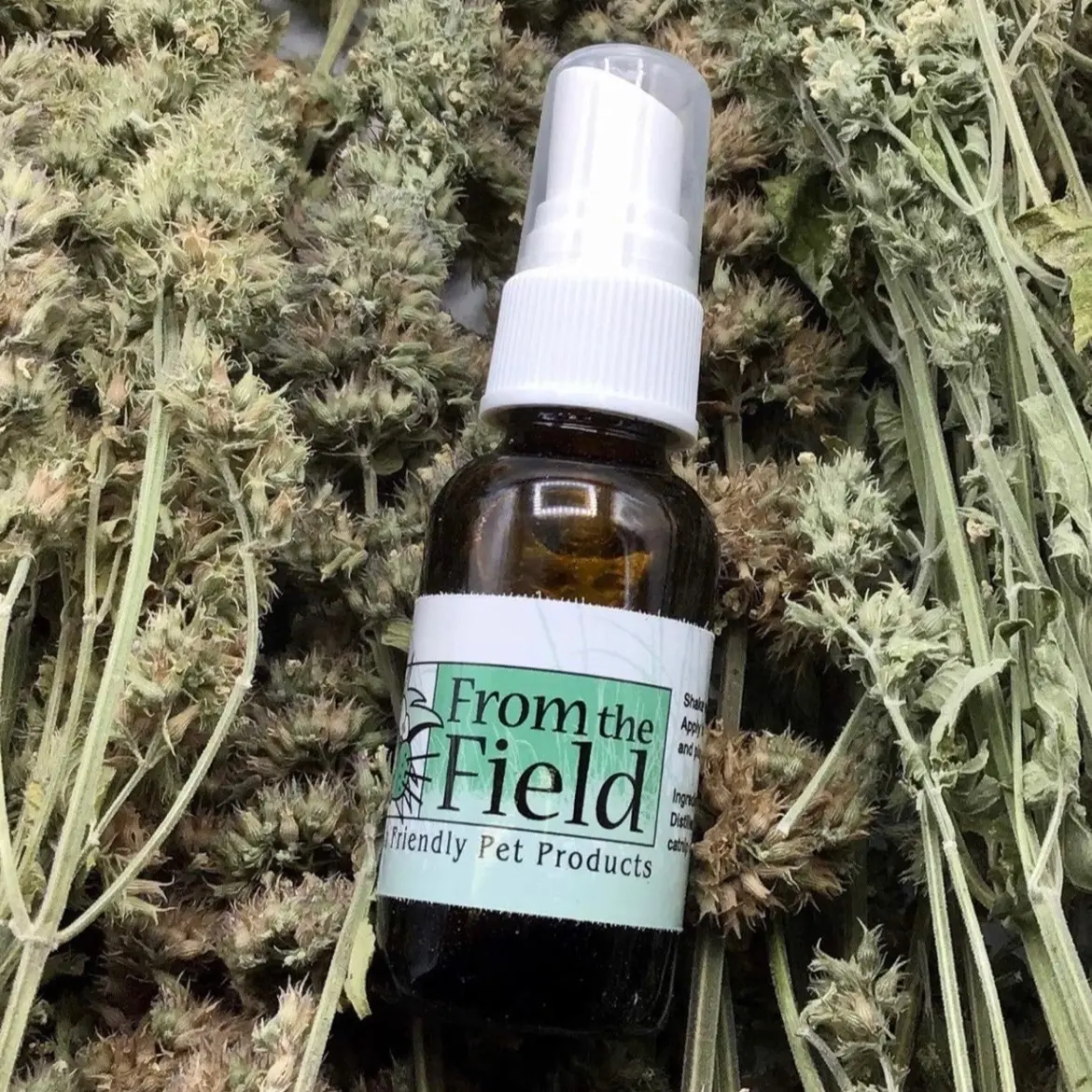 From the Field Catnip Spray Rejuvenator