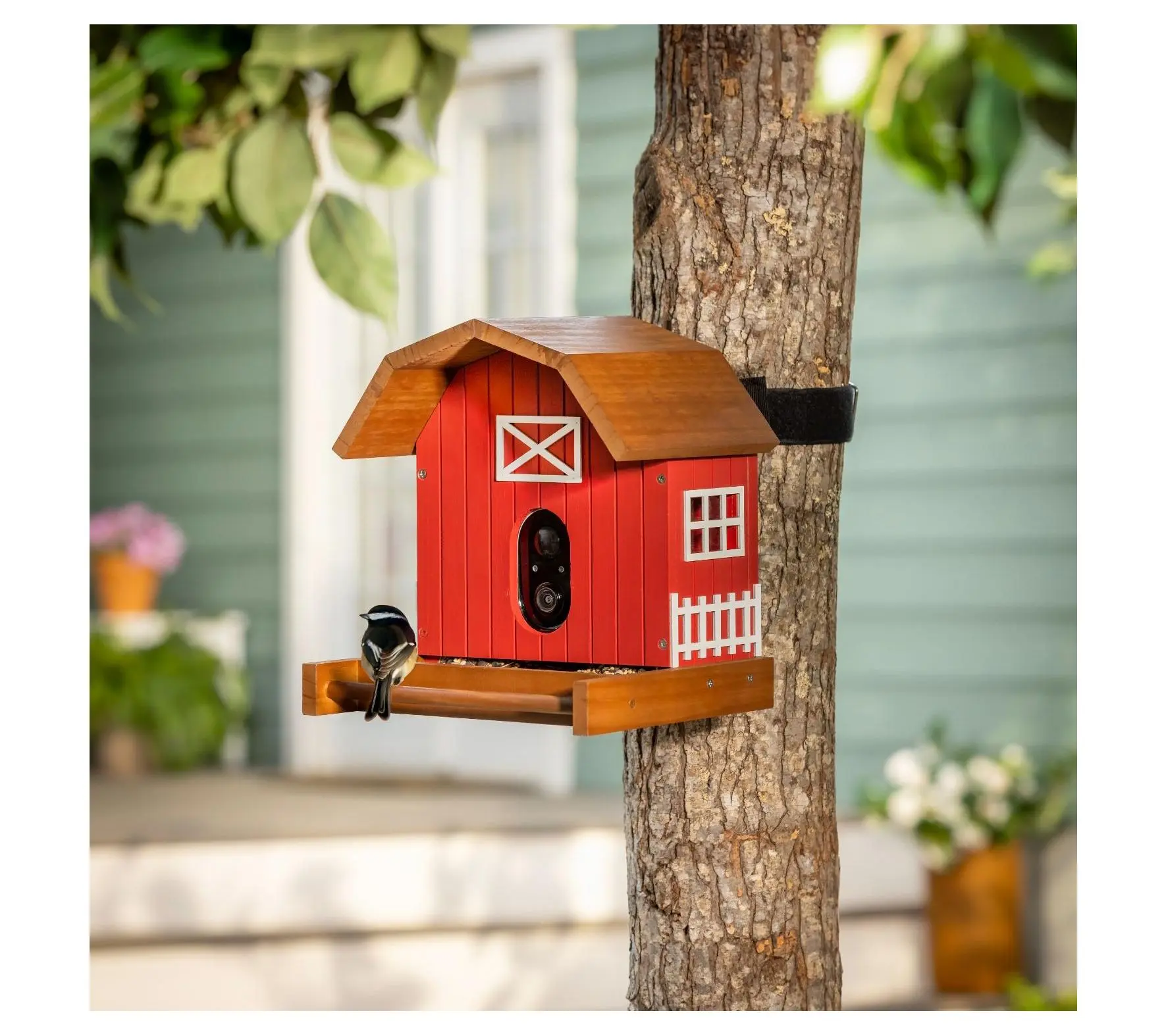 Evergreen LED Barn House Smart Bird Feeder withCamera