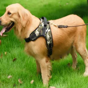 Dog Vest Harness, Outdoor Nylon Pet Harness, Comfortable Wear, Multi-Size, Stress-Reducing Dog Accessory