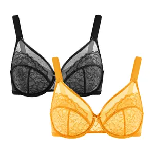 HSIA Enchante Floral Lace Unlined Underwire Plus Size Unpadded Full Coverage Bra Set 2 Pack Womenswear