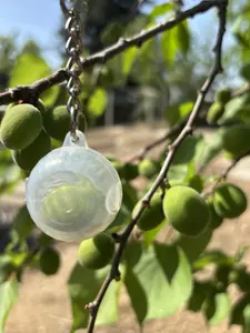 Llavero clear onion key chain
