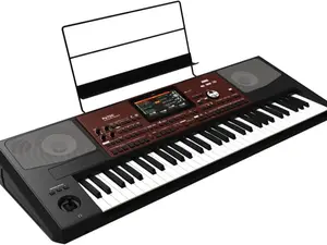 Korg Pa700 61-Key Arranger Workstation keyboard