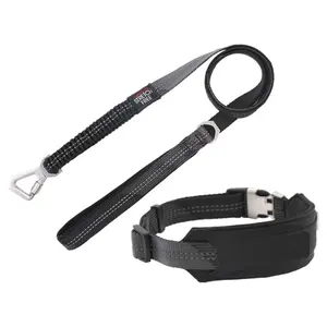 Pet Life 'Geo-prene' 2-in-1 Reflective Dog Leash and Collar
