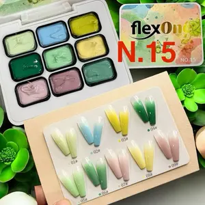 FlexOne 9 watercolor Pat Pat Ombre Gel Set palette or Nail Art ombre gel nail gel painting thick gel