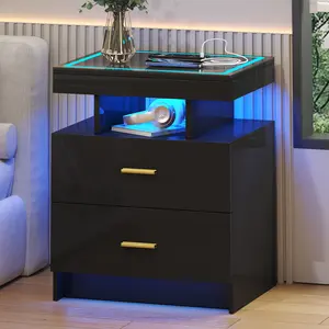 FREDEES LED Nightstand with Charging Station (USB,Type-C Ports) High Gloss Bedside Table with 2 Drawers, Smart Night Stand with Auto Sensor Lights,Modern Bed Side Table for Bedroom